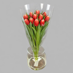 Букет из 11 красно-белых тюльпанов