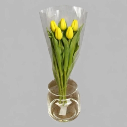 Букет из 5 тюльпанов