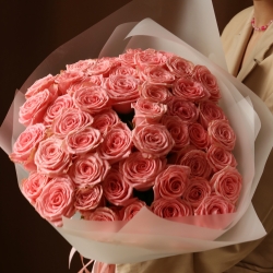 Букет 51 роза Софи Лорен