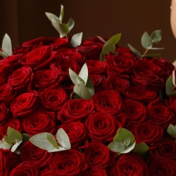 Букет 101 роза Ред Наоми с зеленью 