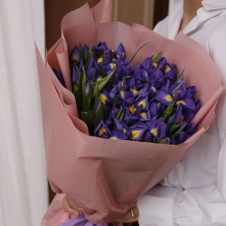 Букет из синих ирисов в упаковке 