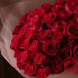 Букет из 49 роз Пинк Флойд Эквадор в упаковке