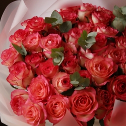 Букет 51 роза Джамиляс зеленью в упаковке