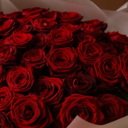 Букет 51 красная роза Рэд Наоми в упаковке