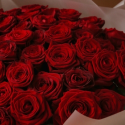 Букет 51 красная роза Рэд Наоми в упаковке
