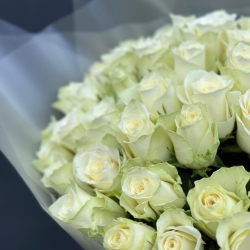 51 кенийская роза в упаковке 