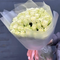 51 кенийская роза в упаковке 