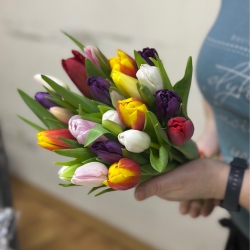 Букет из 25 тюльпанов микс