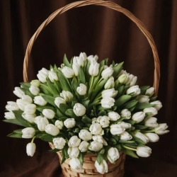 Корзина с белыми тюльпанами