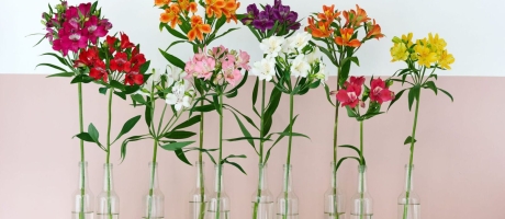  Какие цветы дольше всего стоят в вазе: ТОП-10 самых стойких | Ваш путеводитель по свежести