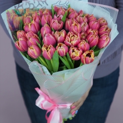 Букет из премиального тюльпана COLUMBUS в дизайнерской упаковке