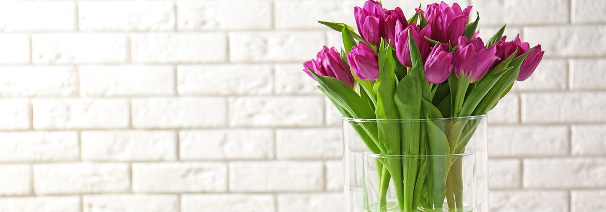 Как ухаживать за тюльпанами в вазе