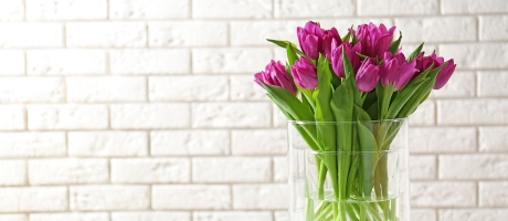 Уход за тюльпанами в вазе – как сохранить букет дольше
