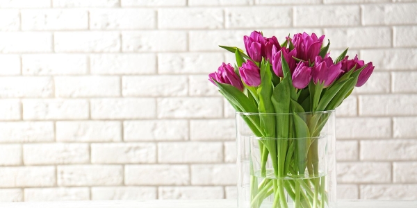 Уход за тюльпанами в вазе – как сохранить букет дольше