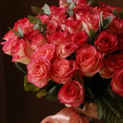 Букет из 51 розы Джамиля с зеленью 