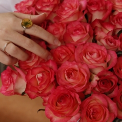 Букет из 51 розы Джамиля 