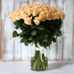 Букет 101 роза Пич Аваланш под ленту 