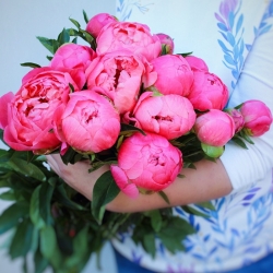 15 коралловых пионов