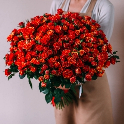 31 кустовая роза