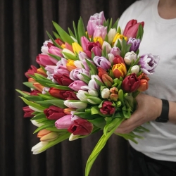 Букет из 101 тюльпана микс