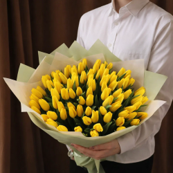 101 желтый тюльпан