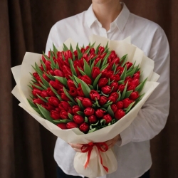 Букет 101 красного тюльпана