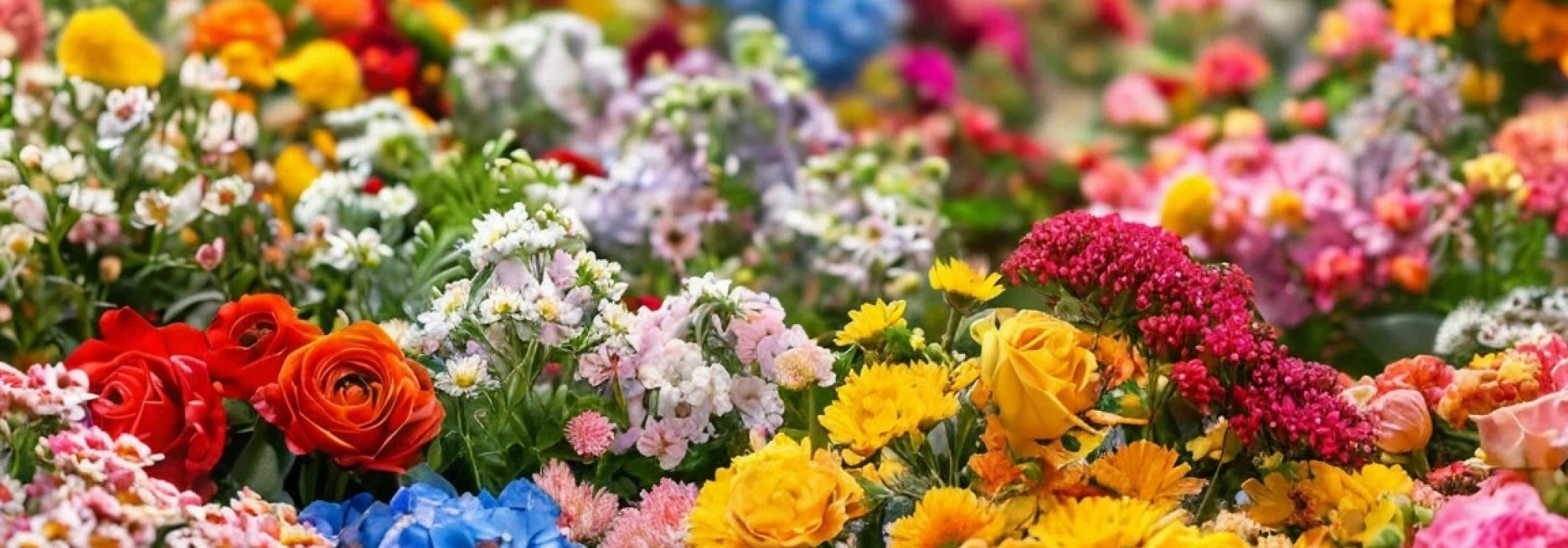 Язык цветов: что означает каждый цветок