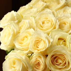 Букет 51 роза Аваланш