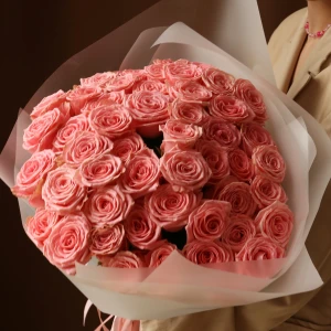 Букет 51 роза Софи Лорен в упаковке