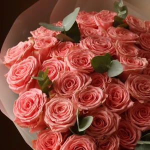 Букет из 51 роза Софи Лорен с зеленью в упаковке