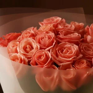Букет 25 роз лососевые в упаковке 
