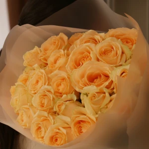 Букет 25 роз Аваланш Пич в упаковке 