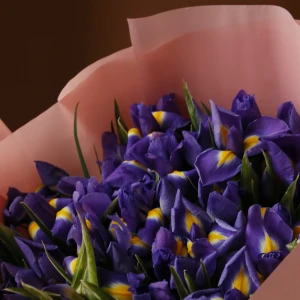 Букет из синих ирисов в упаковке 