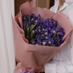 Букет из синих ирисов в упаковке 