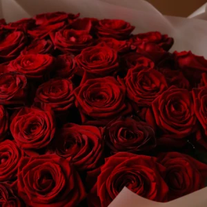 Букет 51 красная роза Рэд Наоми в упаковке