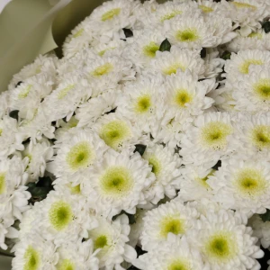 Букет с белыми хризантемами