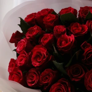 Букет из 25 кенийских роз в упаковке