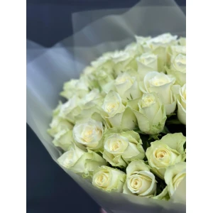 51 кенийская роза в упаковке