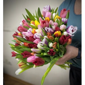 Букет из 101 тюльпана микс