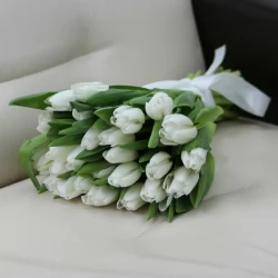 Букет из 25 белых тюльпанов