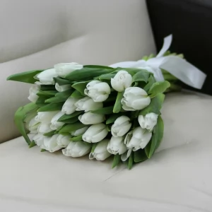 Букет из 25 белых тюльпанов