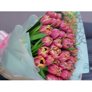Букет из премиального тюльпана COLUMBUS в дизайнерской упаковке