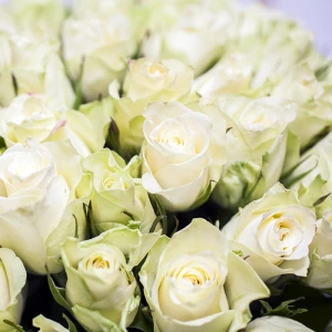 51 кенийская роза 40 см