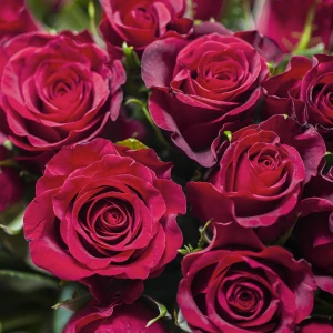 51 кенийская роза 40 см