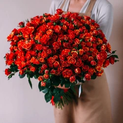 31 кустовая роза