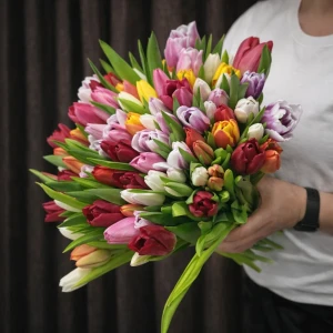 Букет из 101 тюльпана микс