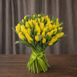 51 желтый тюльпан