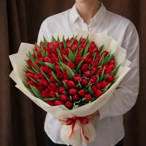 Букет 101 красного тюльпана